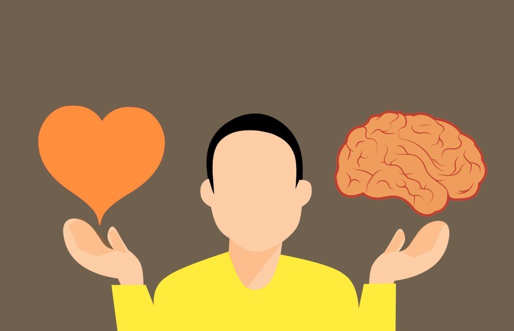 Capire o sentire. Che fare se il cervello ci manda fuori strada?