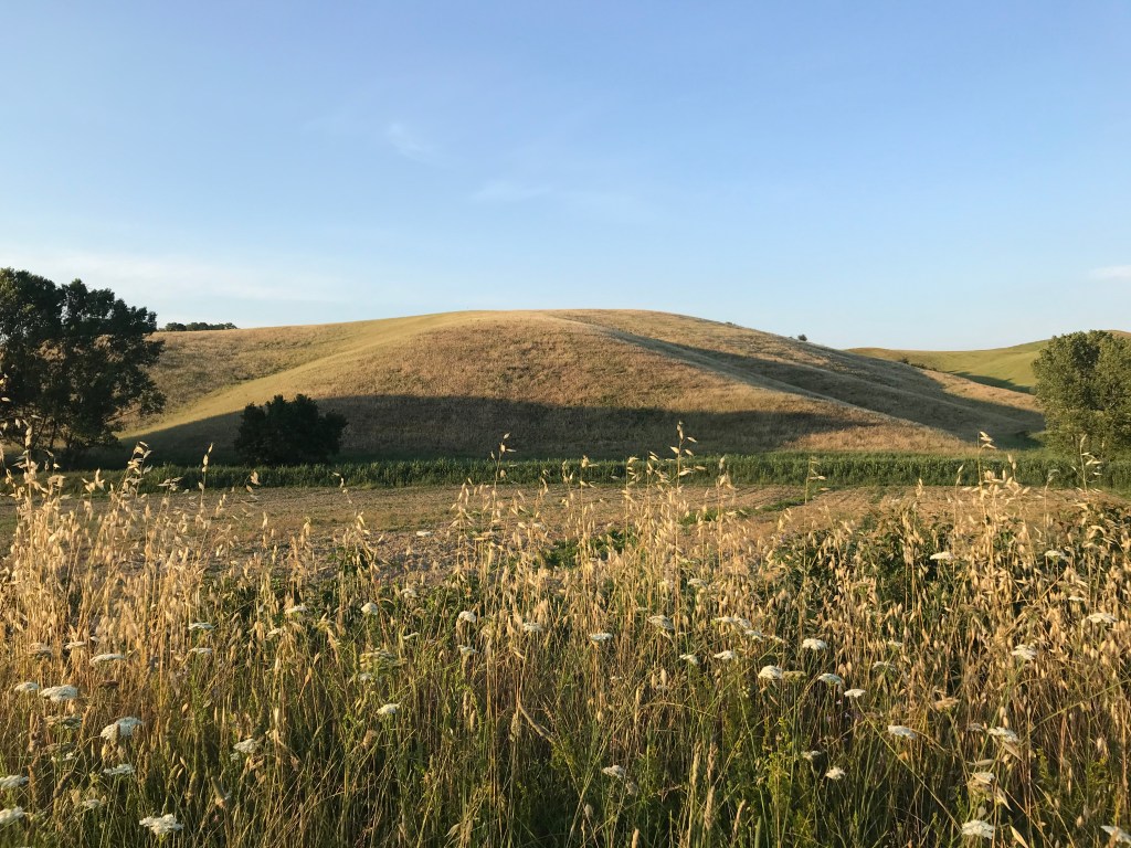 Anche le colline hanno i capelli lunghi ma li lasciano&nbsp;sventolare